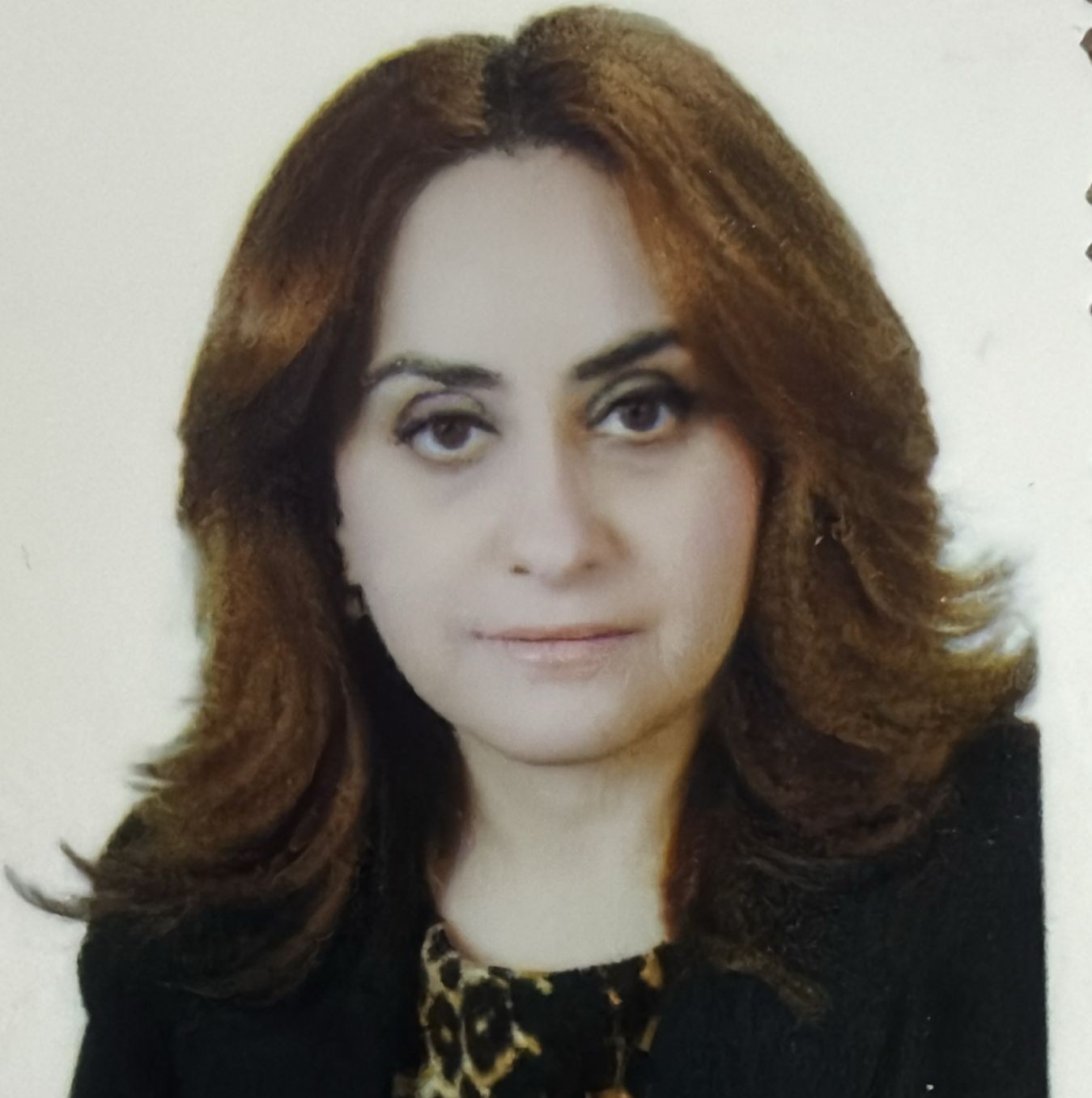 Assist. Prof. Dr. Ameerah A. Radhi